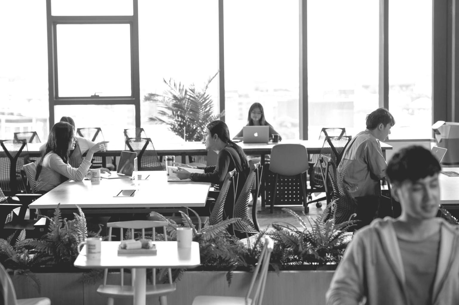 Équipe Tremelioniq en session de webinaire sur le SEO